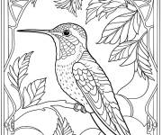 Coloriage Vitrail d&eacute;taill&eacute; repr&eacute;sentant un colibri