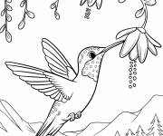 Coloriage Vivant &agrave; des fleurs suspendues