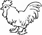 Coloriage Coq 23