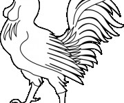 Coloriage Coq 24