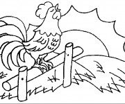 Coloriage Coq 28