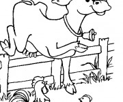 Coloriage Coq 32