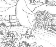 Coloriage Coq 33