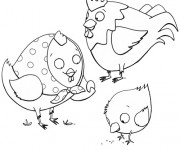 Coloriage Coq 35