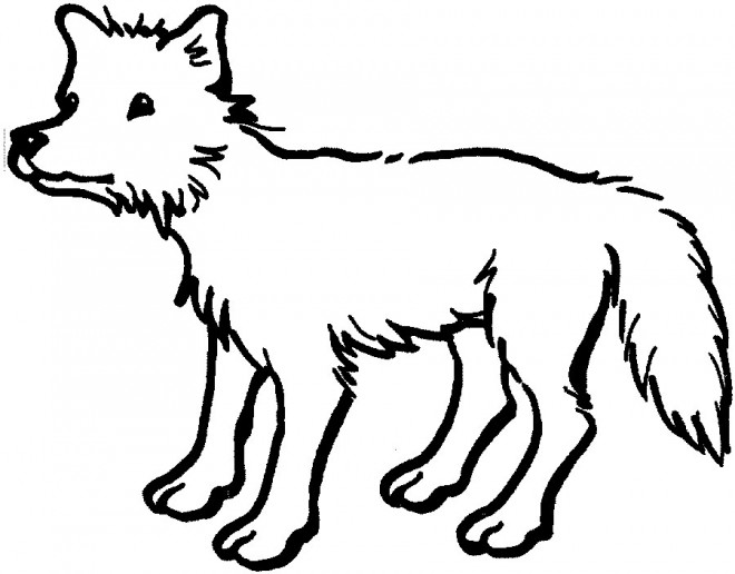 Coloriage et dessins gratuits Coyote simple à imprimer