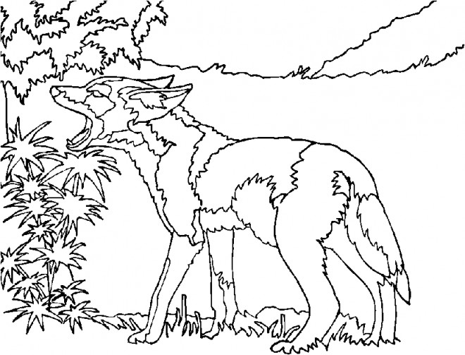 Coloriage et dessins gratuits Coyote stylisé à imprimer