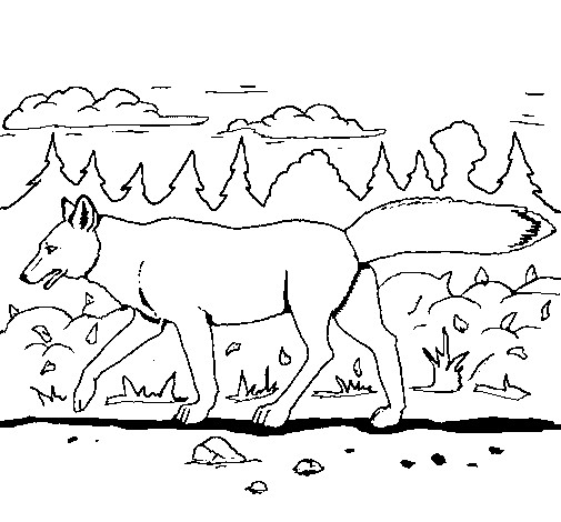 Coloriage et dessins gratuits Un Coyote qui marche à imprimer