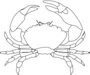 Coloriage et dessins gratuit Animal Crabe pour éducation à imprimer