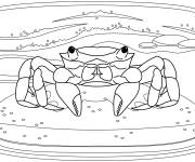 Coloriage Beau crabe sous la mer