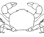 Coloriage Crabe animal à imprimer