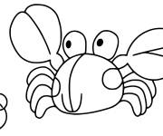 Coloriage et dessins gratuit Crabe animal marin à imprimer