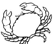 Coloriage et dessins gratuit Crabe animal réaliste à imprimer
