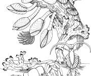 Coloriage Crabe avec des coraux