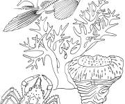 Coloriage Crabe avec les cr&eacute;atures sous marines