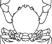 Coloriage Crabe avec ses pinces