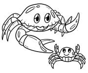 Coloriage Crabe avec son petit