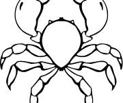 Coloriage et dessins gratuit Crabe bleu à imprimer