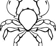 Coloriage Crabe bleu