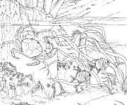Coloriage Crabe bleu avec des poissons