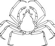 Coloriage Crabe crustac&eacute;