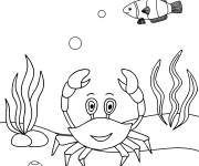 Coloriage Crabe dans fond marin