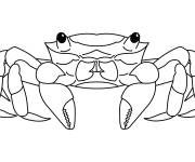 Coloriage Crabe de l'oc&eacute;an