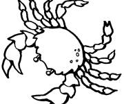 Coloriage Crabe d&eacute;capode
