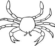 Coloriage Crabe dessiné avec crayon