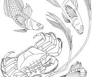 Coloriage Crabe en nageant pres des poissons