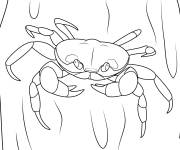 Coloriage Crabe gratuit &agrave; colorier