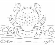 Coloriage Crabe illustration