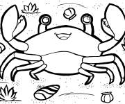 Coloriage Crabe sous marin rigolo