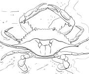 Coloriage Giant Crabe bleu