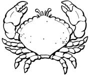 Coloriage Un gros crabe