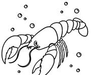 Coloriage Crevette adulte