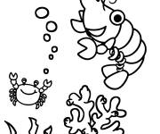 Coloriage Crevette avec des animaux marins