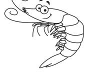 Coloriage et dessins gratuit Crevette avec un visage dr&ocirc;le à imprimer