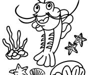 Coloriage Crevette cr&eacute;ature marine