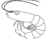 Coloriage Crevette en &eacute;moji pour enfants