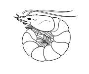 Coloriage Crevette endormi