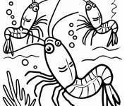 Coloriage Des crevettes adorables