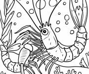 Coloriage Langoustine en noir et blanc