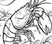 Coloriage Langoustine type de crevette