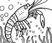 Coloriage Une crevette avec une grosse pince sous la mer