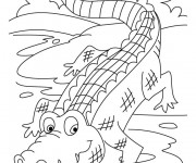 Coloriage Crocodile 17