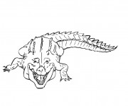 Coloriage Crocodile au crayon
