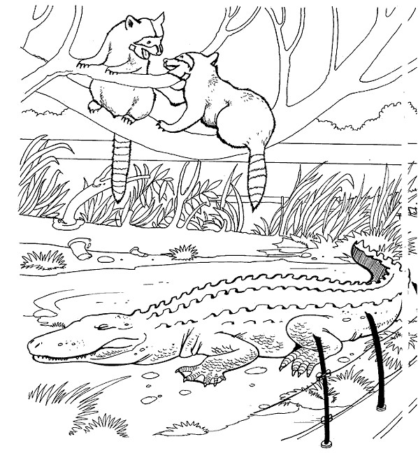 Coloriage et dessins gratuits Crocodile dans le Zoo à imprimer