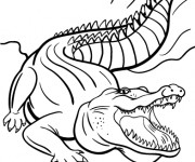 Coloriage Crocodile dessin pour enfant