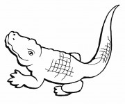Coloriage et dessins gratuit Crocodile facile à imprimer