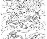 Coloriage Crocodile réaliste